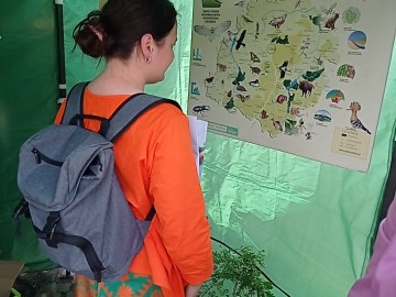 Piknik województwa łódzkiego w Brzezinach z okazji Dnia Dziecka, 